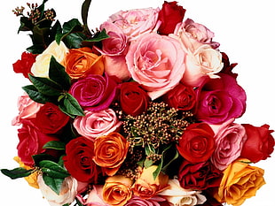 bouquet of red, orange, and white Rose flowers